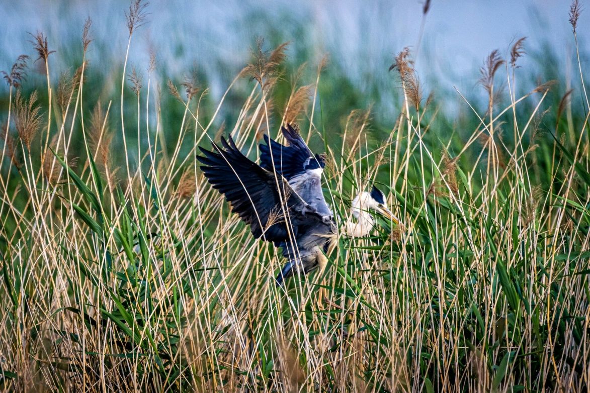 持续读写再升级至誉NITRO系列CFexpressTypeB存储卡评测