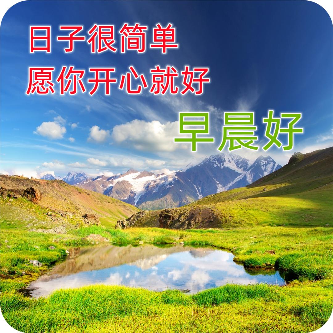 早上好最漂亮问候语动态表情图片,最美早安问候图片带字动态