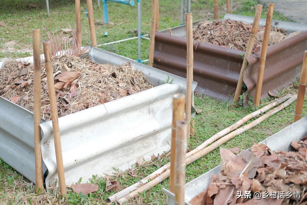 豆饼肥发酵后怎么施肥,有豆饼发酵粪肥吗