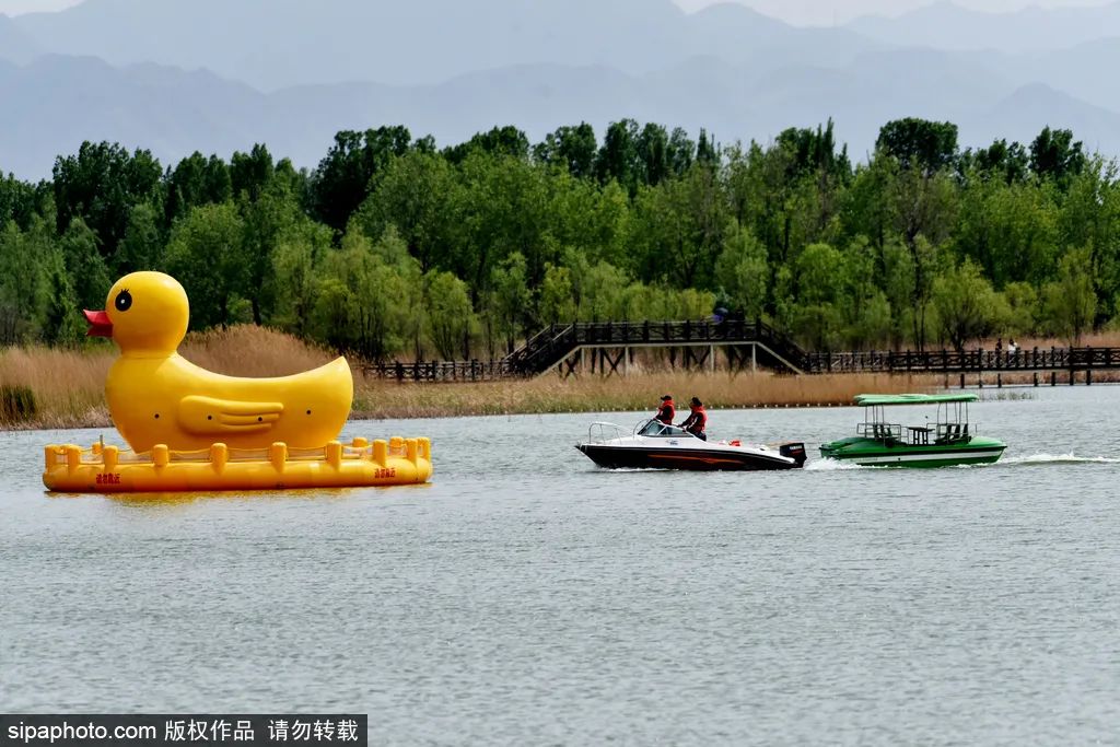 冬天颐和园昆明湖全景,观赏颐和园昆明湖