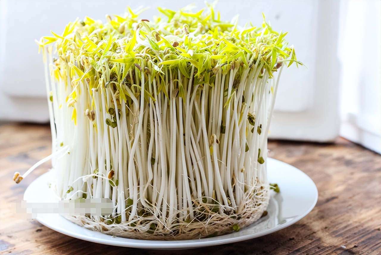 自制免浇水发豆芽,自己怎么做发豆芽神器