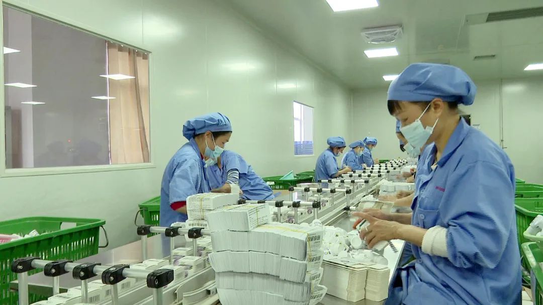 南药产业发展情况总结,南药产业项目规划