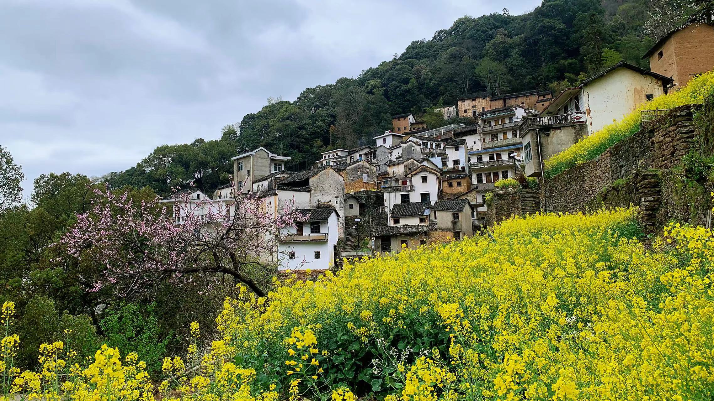 黄山适合隐居的民宿,真实的黄山古村落