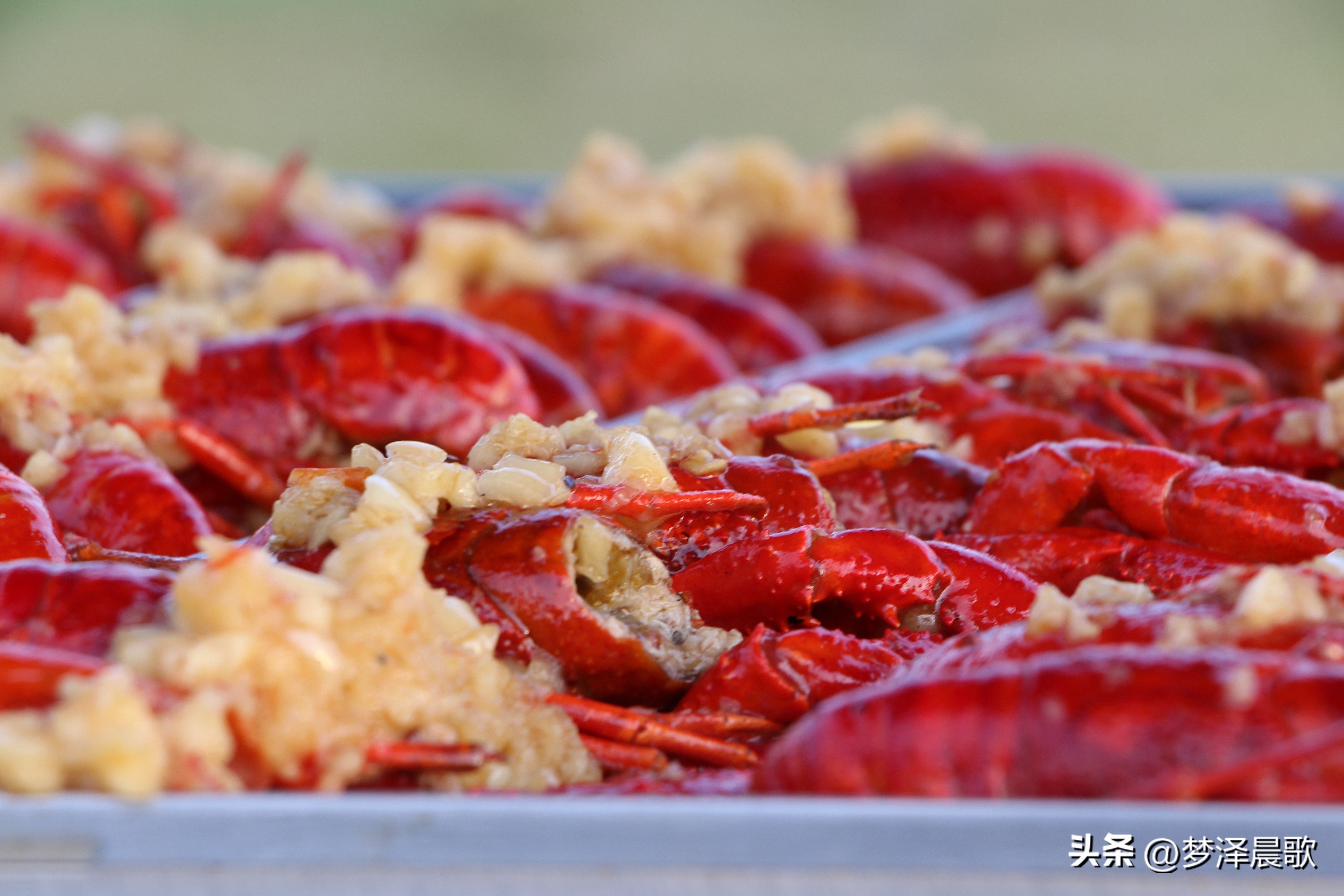 节日哪里去？醉美“伍湖四海”游人醉