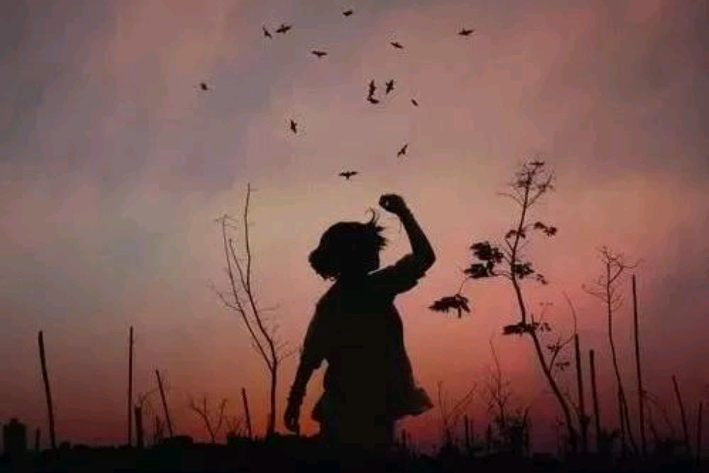 有一种活法叫不纠结,有一种生活叫活法