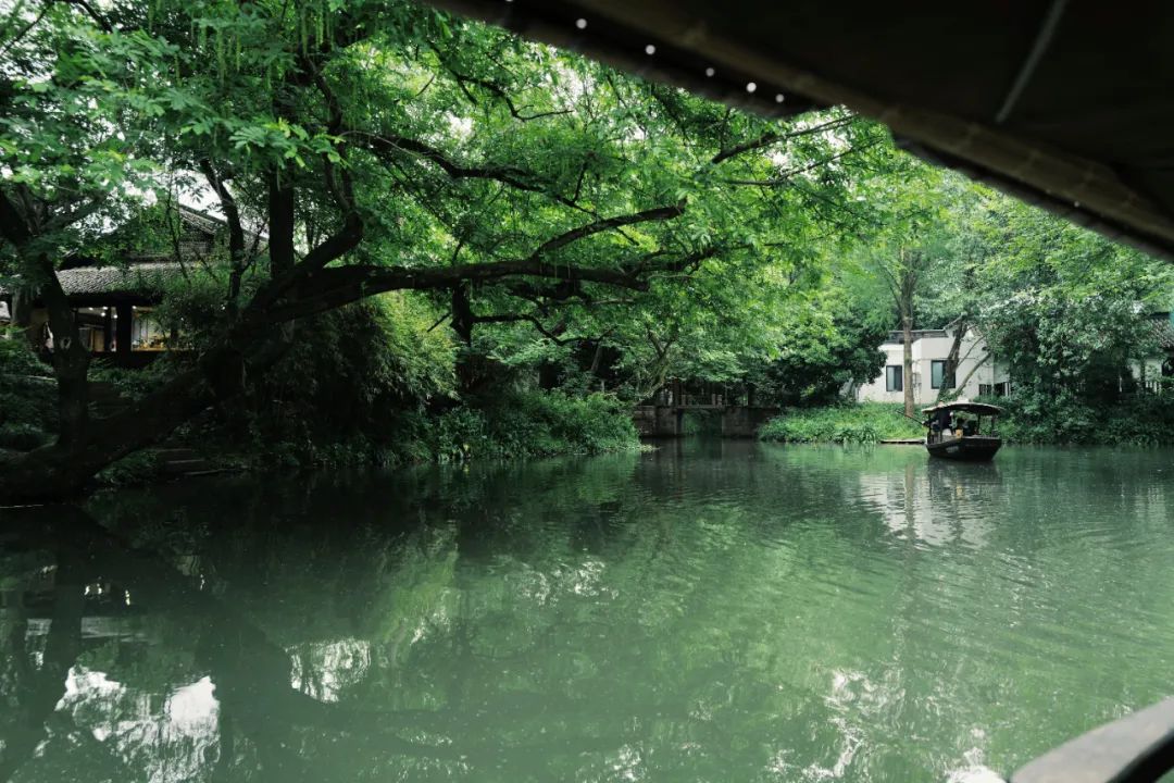 春天的潺潺溪水,春天的顶流