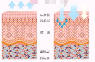 保湿护肤到底有多重要,故事情节护肤品