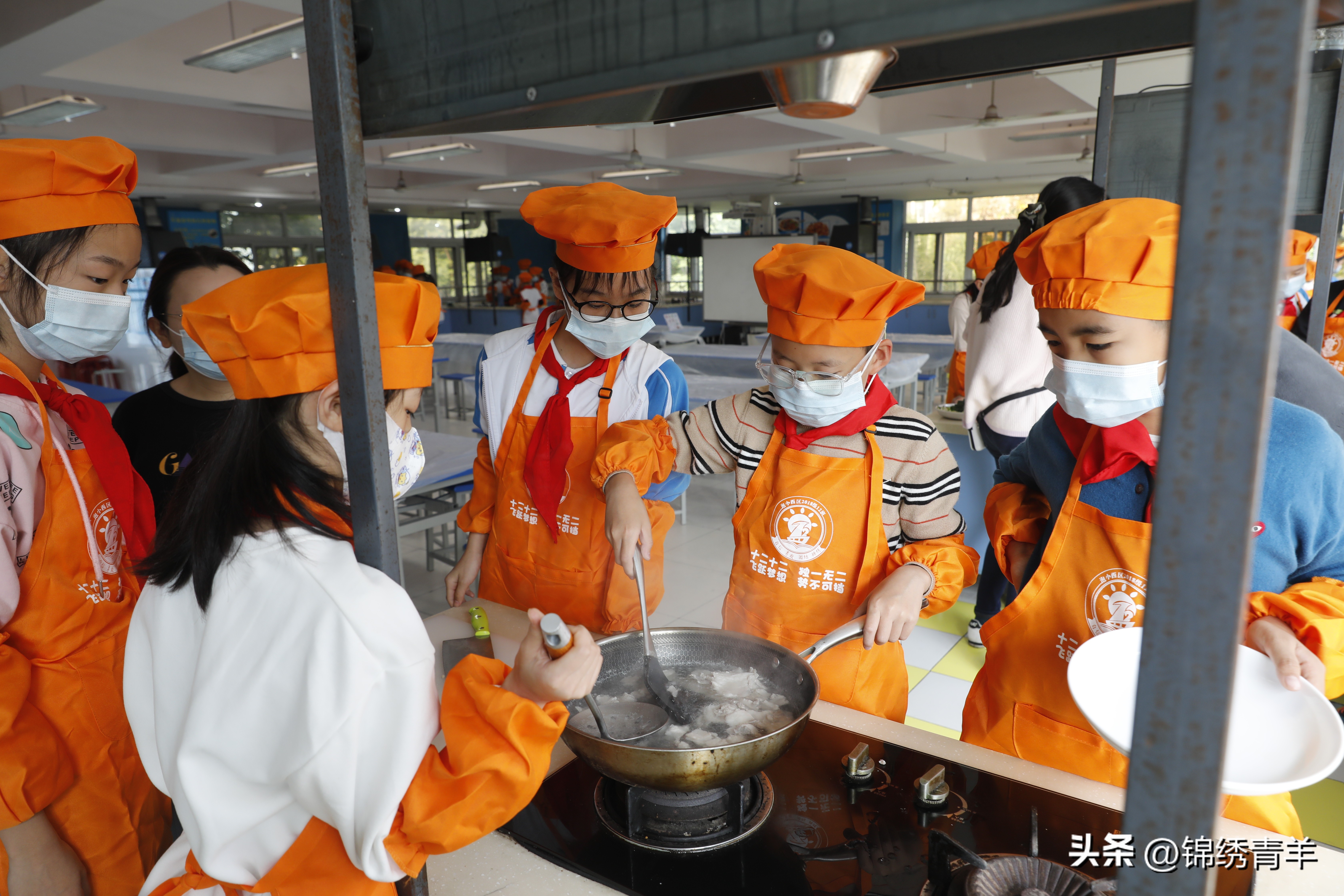 青羊区泡桐树小学西区怎么样,泡桐树小学青羊区