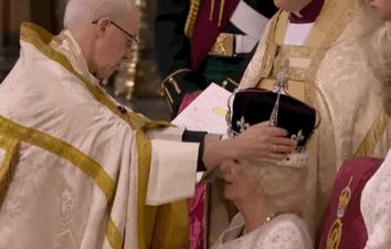 卡米拉出尽风头,卡米拉靠什么被女王认可