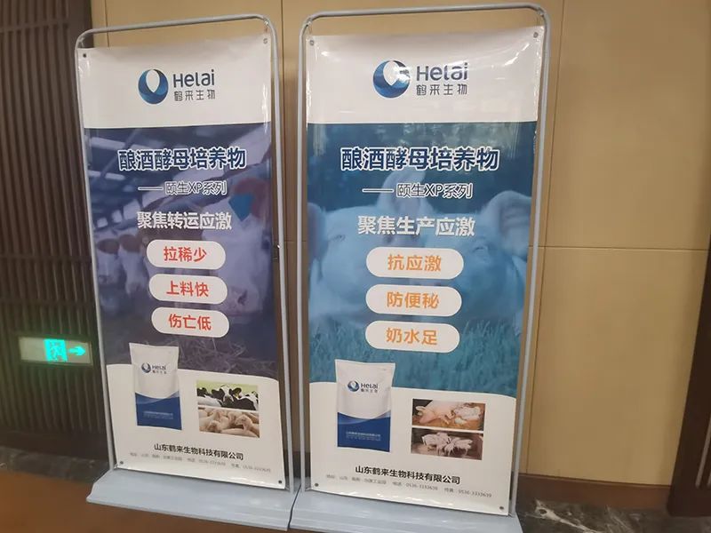 聚焦创新突破研讨发言材料,饲料企业爆品突破研讨会