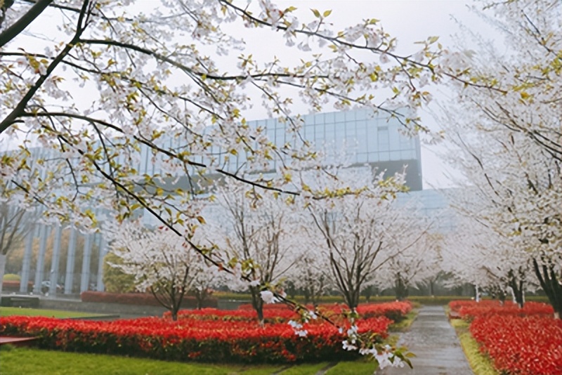 海兰信人战疫行动——他们散发着耀眼光芒