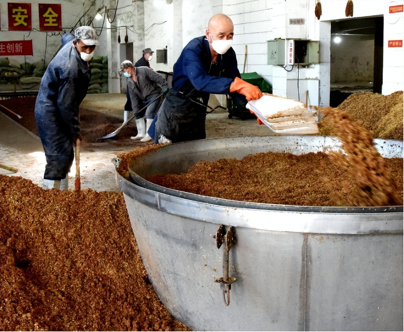 大批俄罗斯游客走进洛阳看牡丹,俄罗斯游客来中国疯狂购物