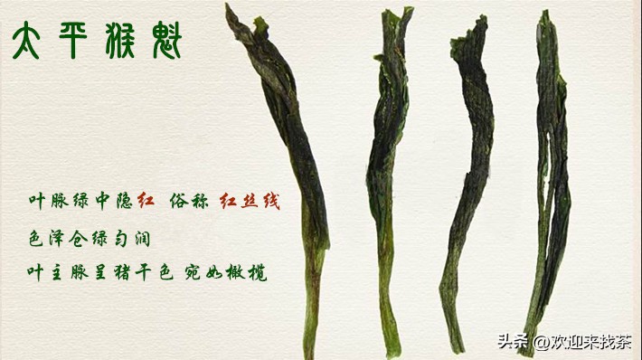 太平猴魁价格多少一两,东方甄选特级太平猴魁