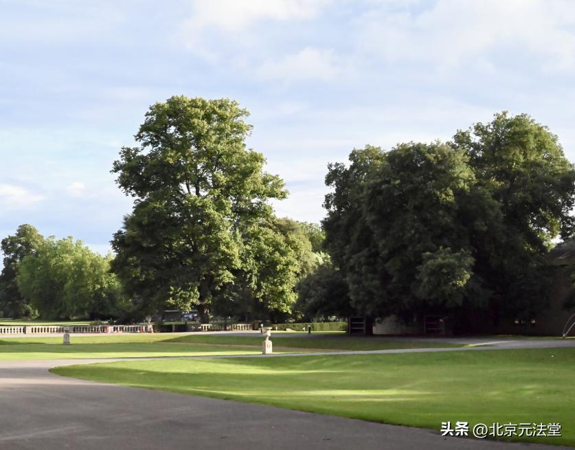 涉恶案咋做无罪或罪轻辩护？这四个特征少一个都不能定罪