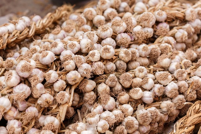 中国最好大蒜品种排名,哪产的大蒜口感好