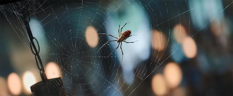 娑堝け鐨勫ス绂诲澶辫釜,濡诲瓙绂诲娑堝け