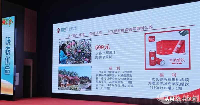 洛川苹果展会时间2021,洛川苹果品牌展销会