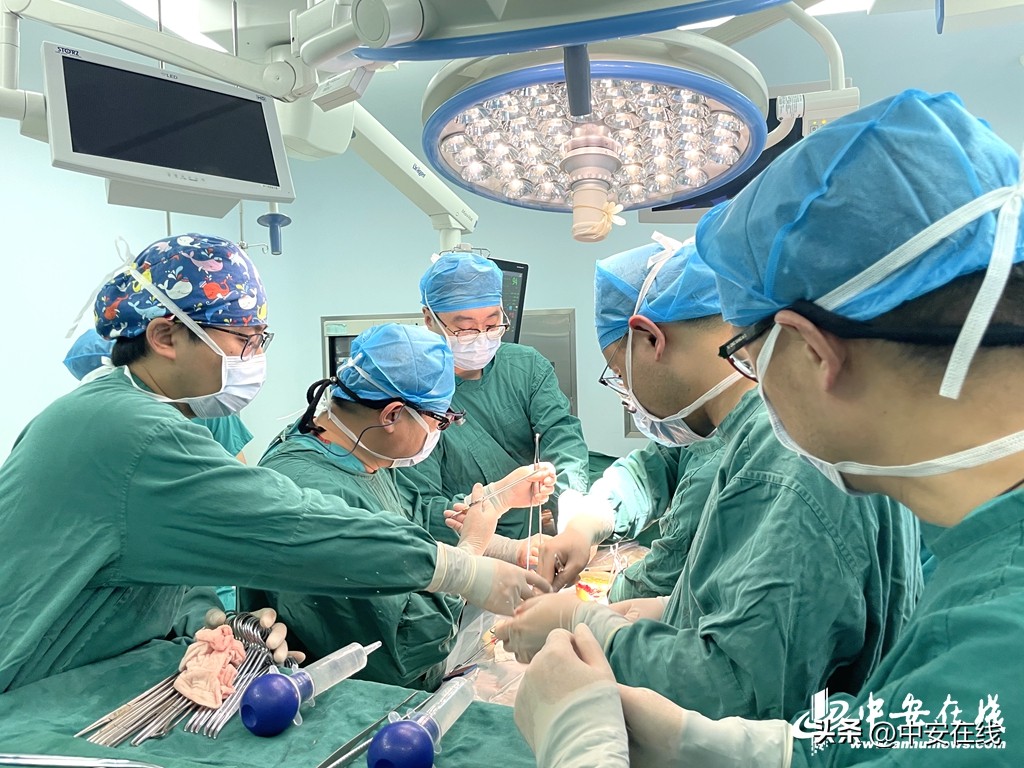 生命接力温暖传递,生命接力传递正能量