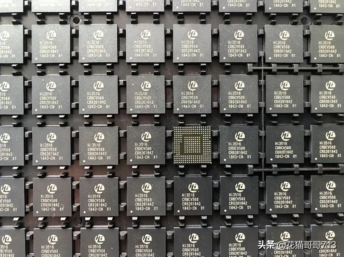 猫哥俄罗斯,猫哥在俄罗斯最新视频