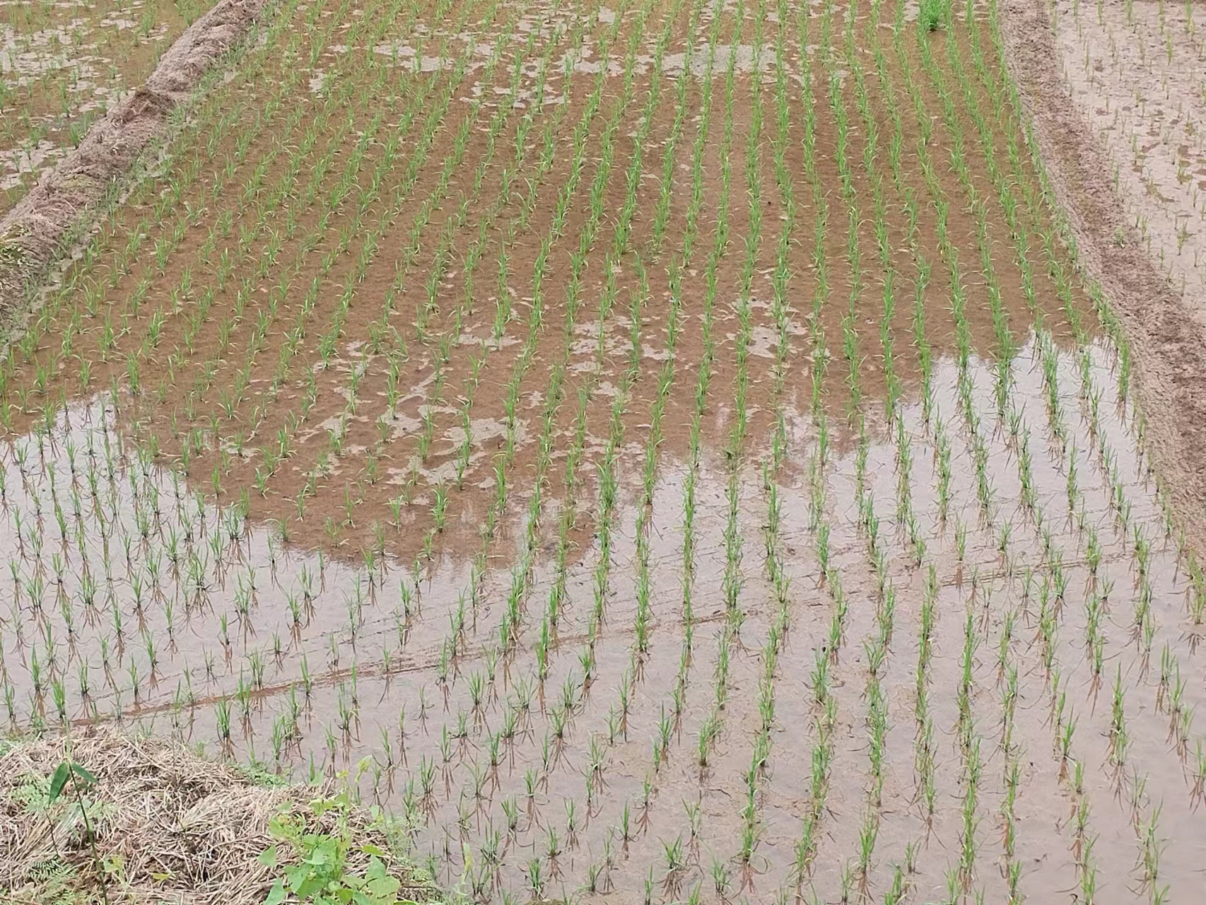 五菱龙卡货车怎么样,五菱龙卡3.8米小货车多少钱