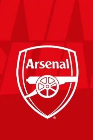 枪手阿森纳最新战绩,历史阿森纳超跑