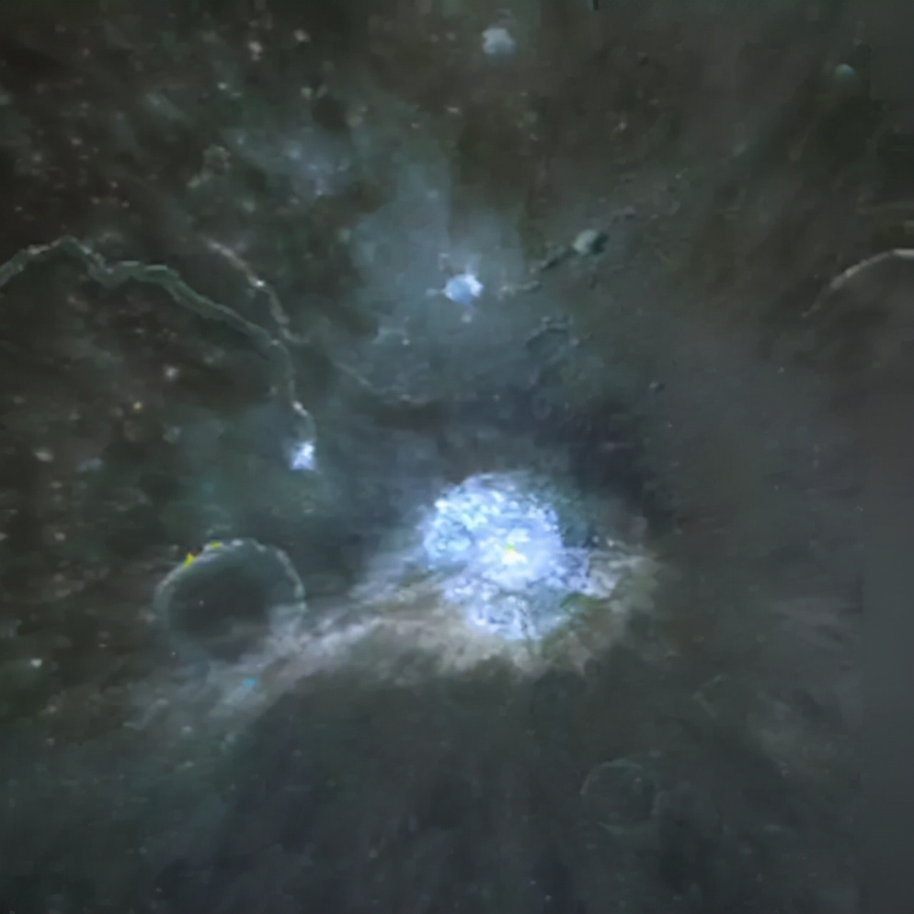 阿波罗11号登月怪异事件,美国阿波罗11号登月遇到了什么