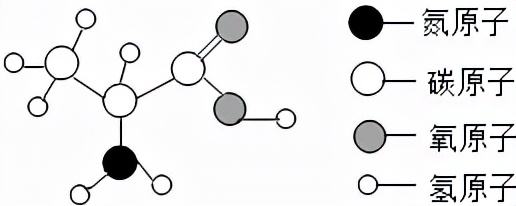 初中化学常见物质的分类,初中化学计算题解题全过程