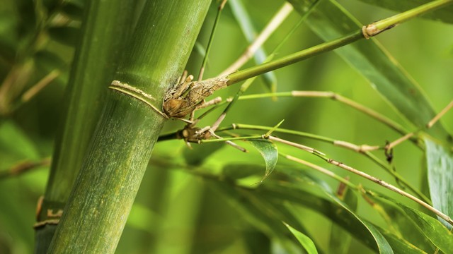 说一个笑话50字的,说一个笑话100字