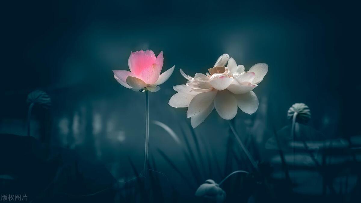 怎样学好英语原文,怎么学好英语的短文