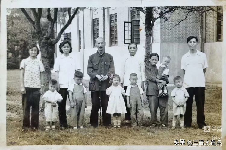 自有青青松柏心表达的情感,自有青青松柏心