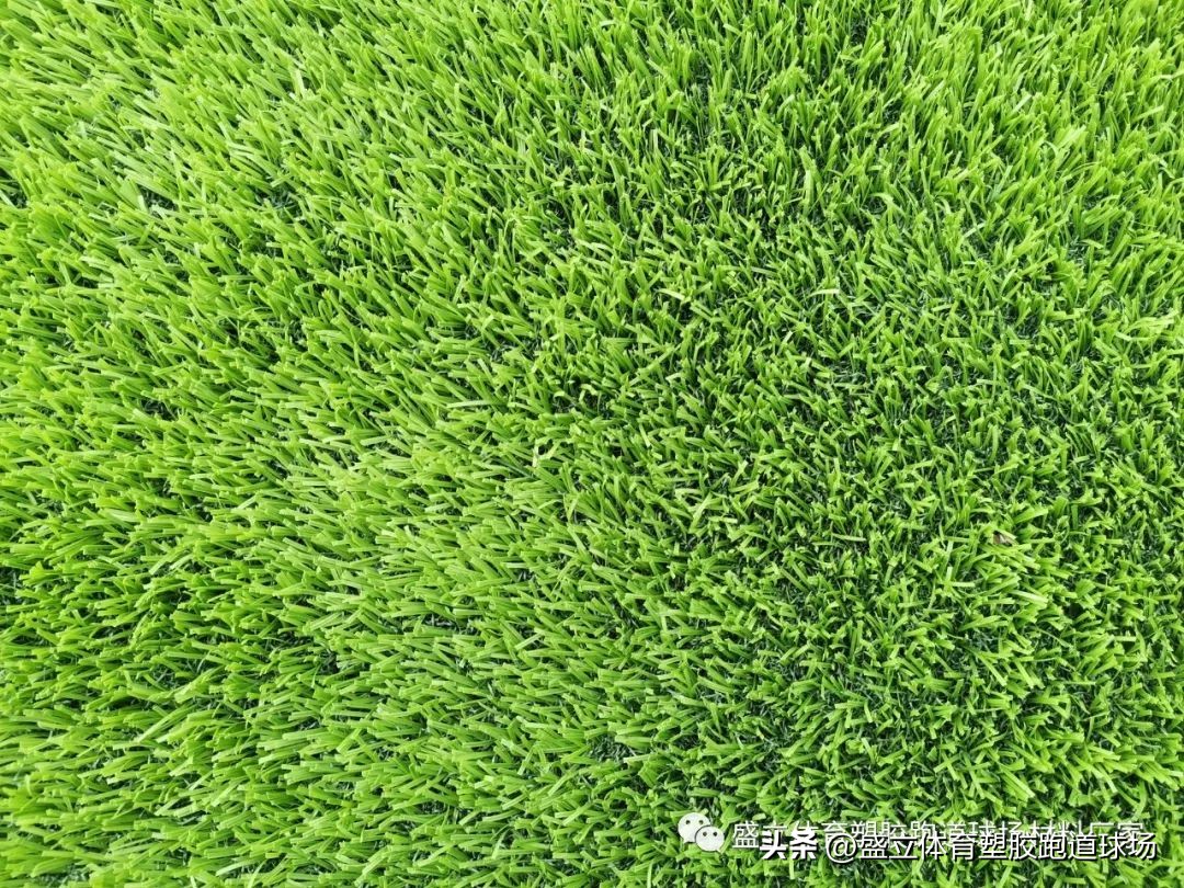 人造草坪每平米价格表,如何挑选真草坪