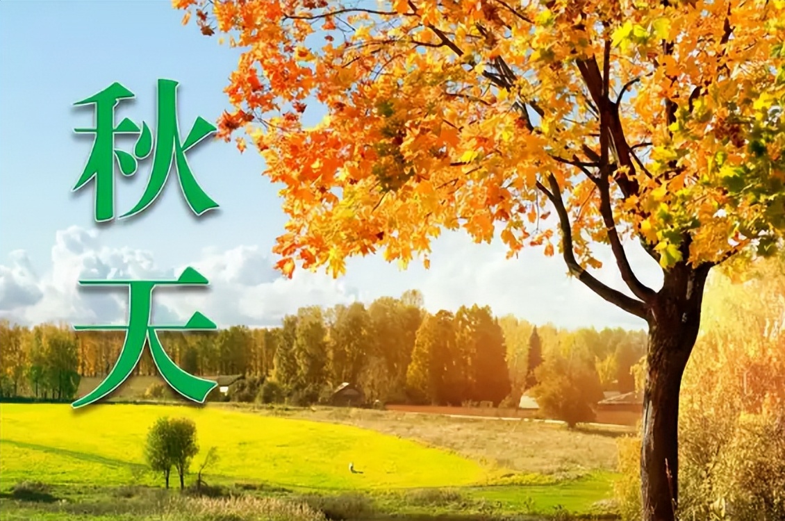 降火润燥茶秋燥适合喝,秋燥来袭茶要怎么喝看这里