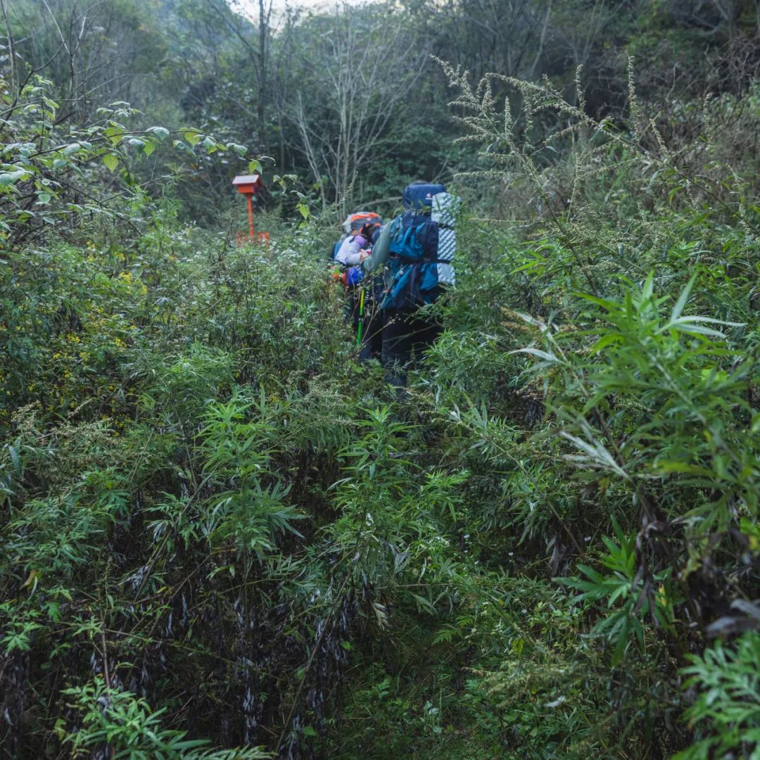 登太白山感受,太白山景区登顶拔仙台