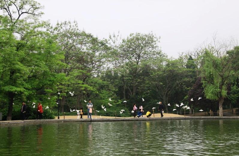 安徽省著名景区,安徽唯一的国家级生态公园