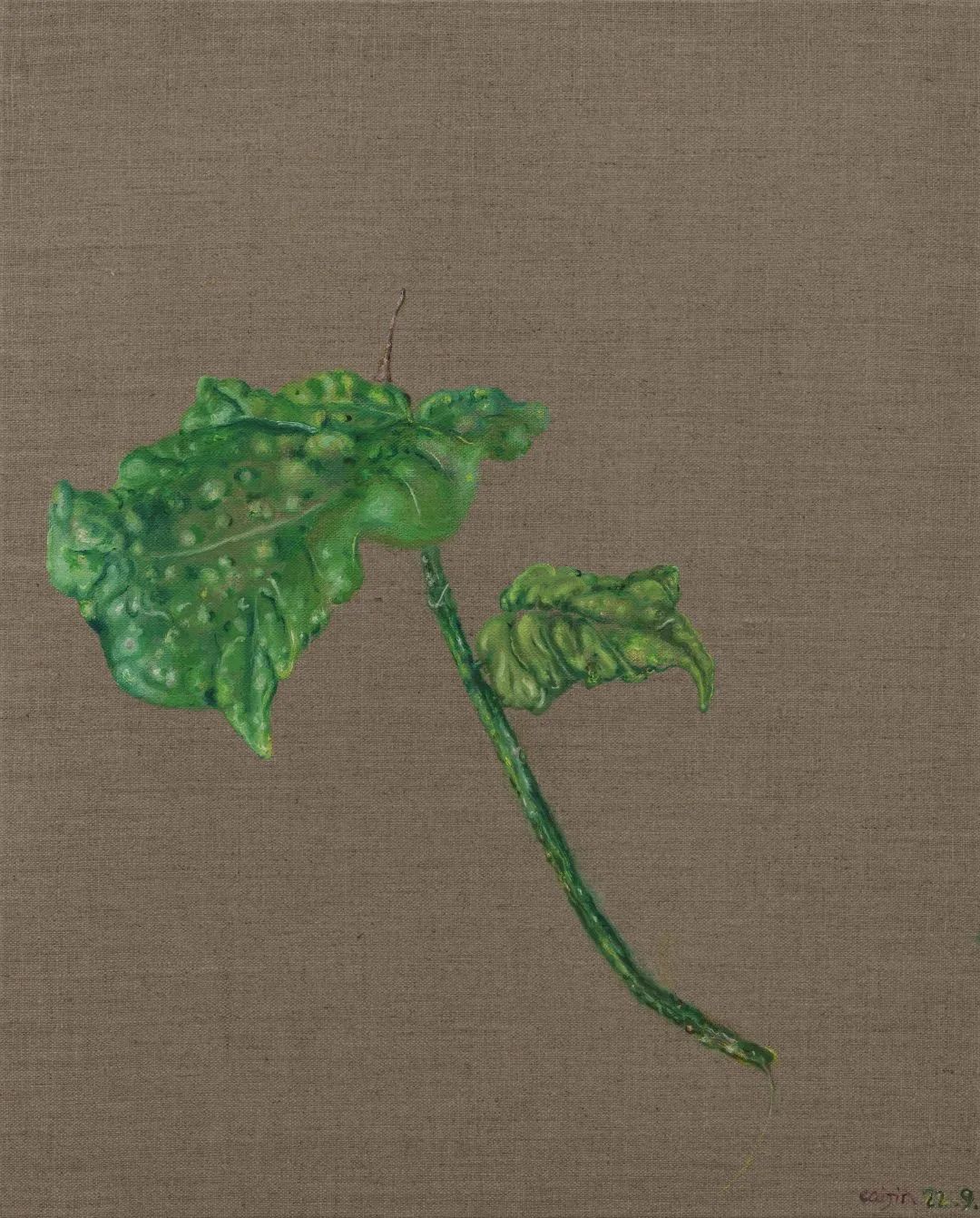 蔡锦被遗忘的十年|艺术栗子