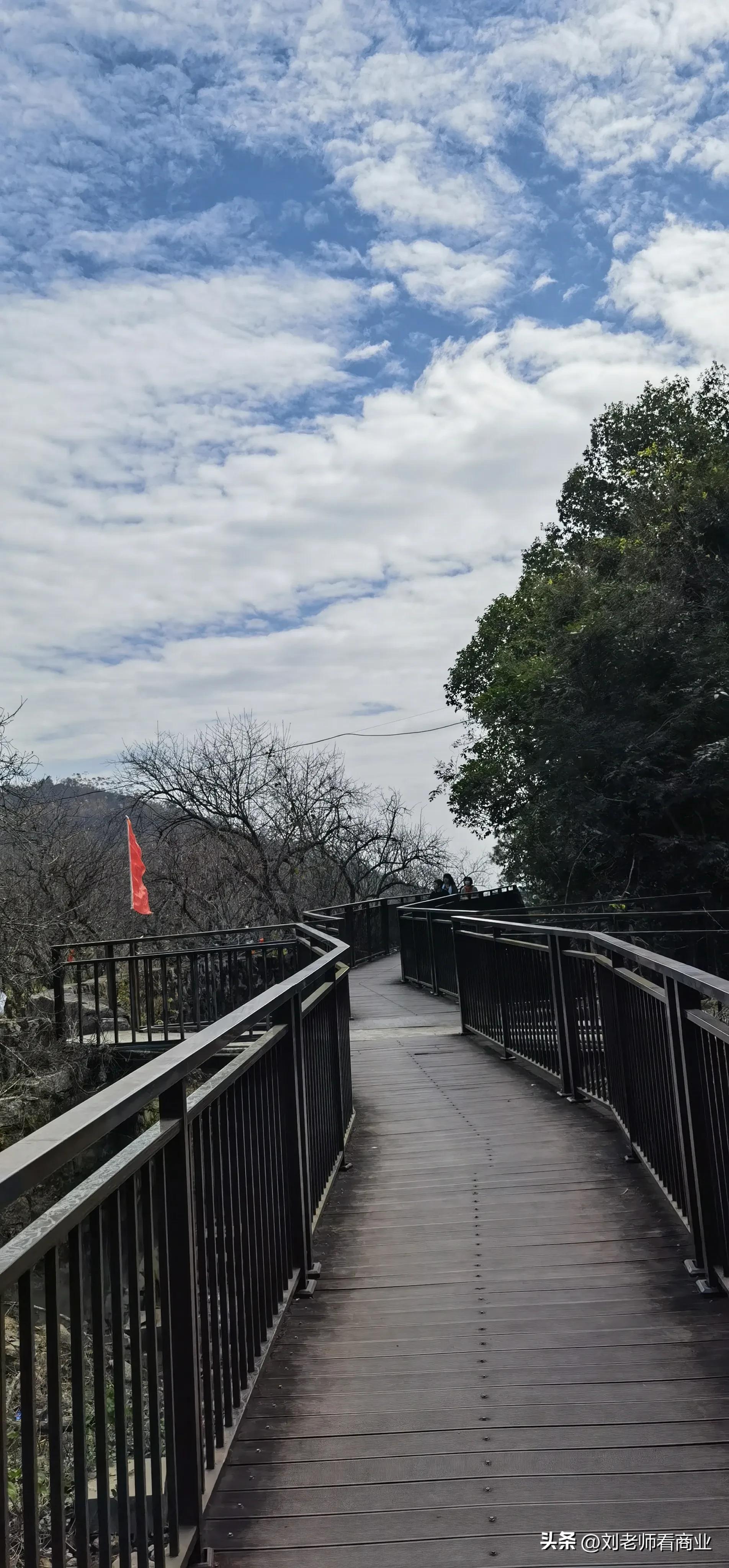 普宁老仙洞梅花盛开,普宁赏梅花最佳地点