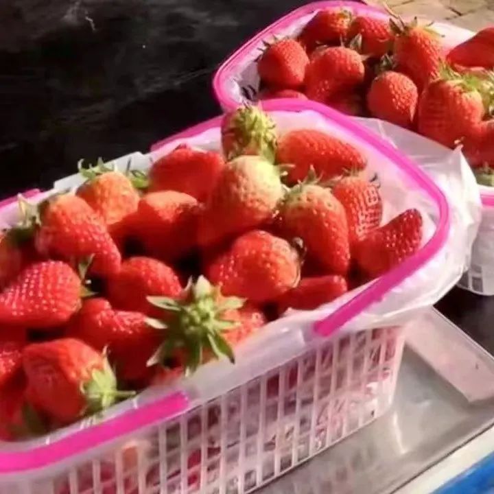 乡村振兴引人才回乡,全州县乡村振兴吸引人才到一线