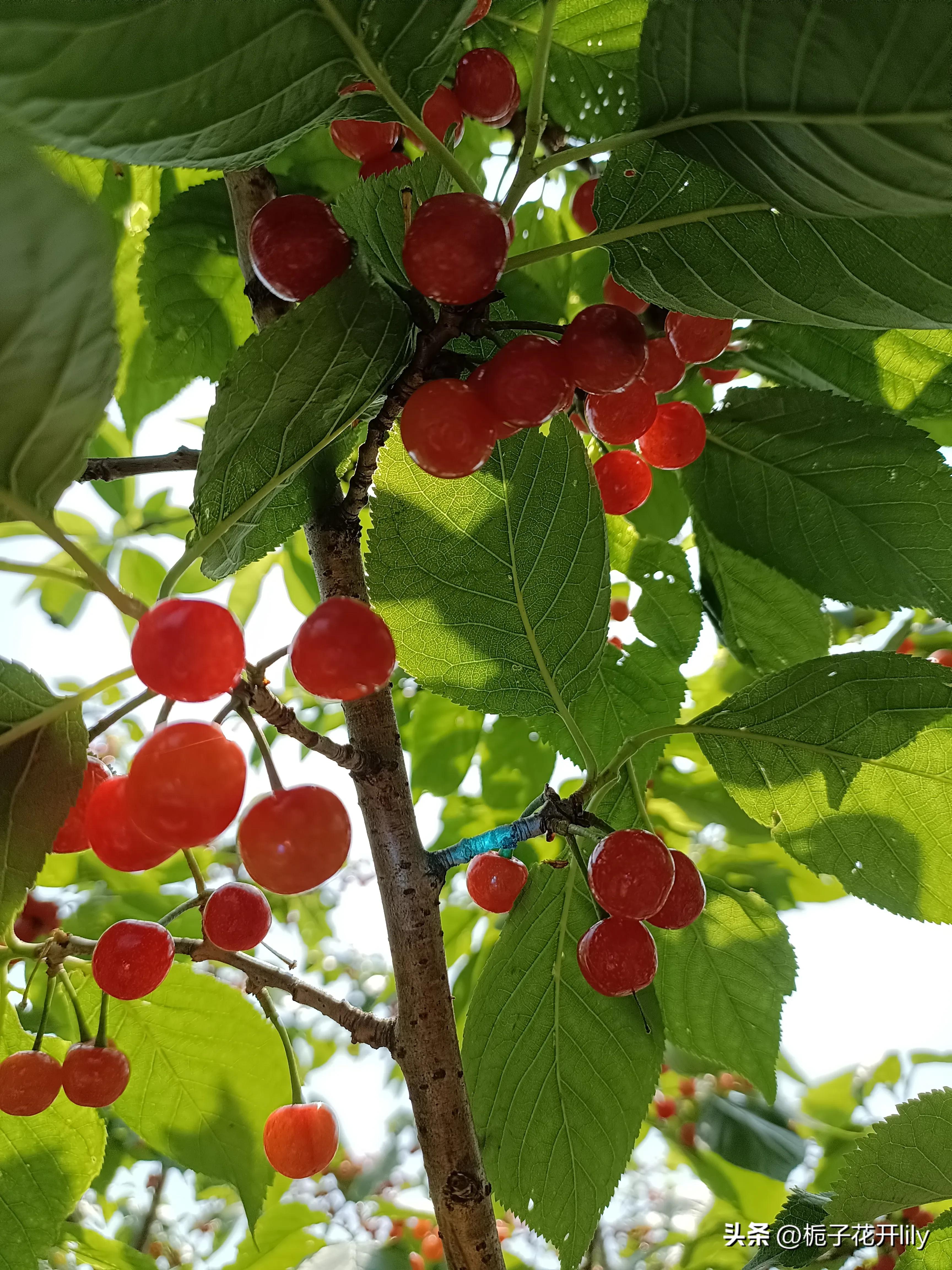 这周末可以在成都哪些地方玩,周末成都有哪些值得去的地方
