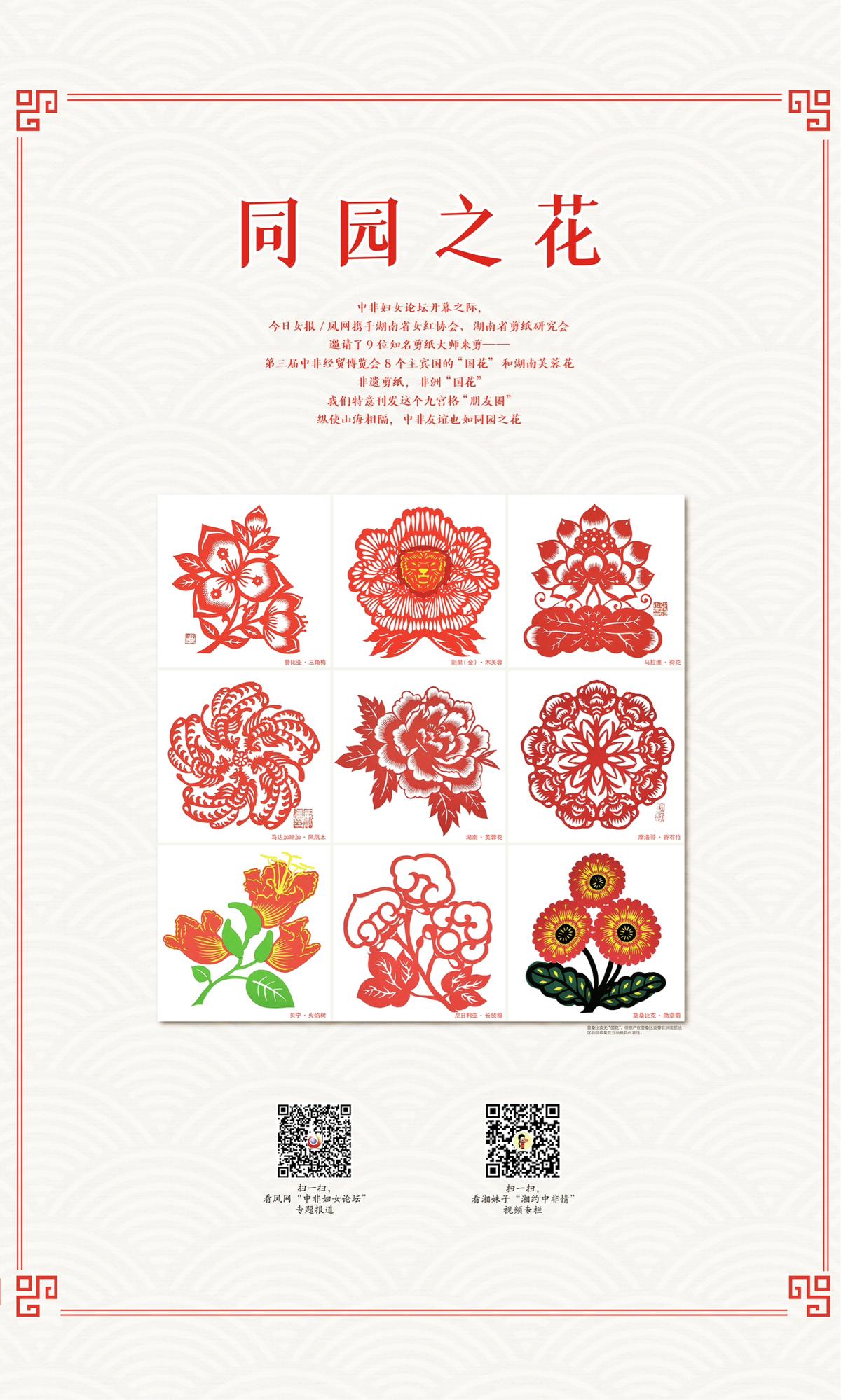 中非妇女论坛论点,中非妇女论坛文章