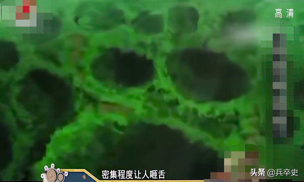 野猪林诡异事件,野猪林神秘事件