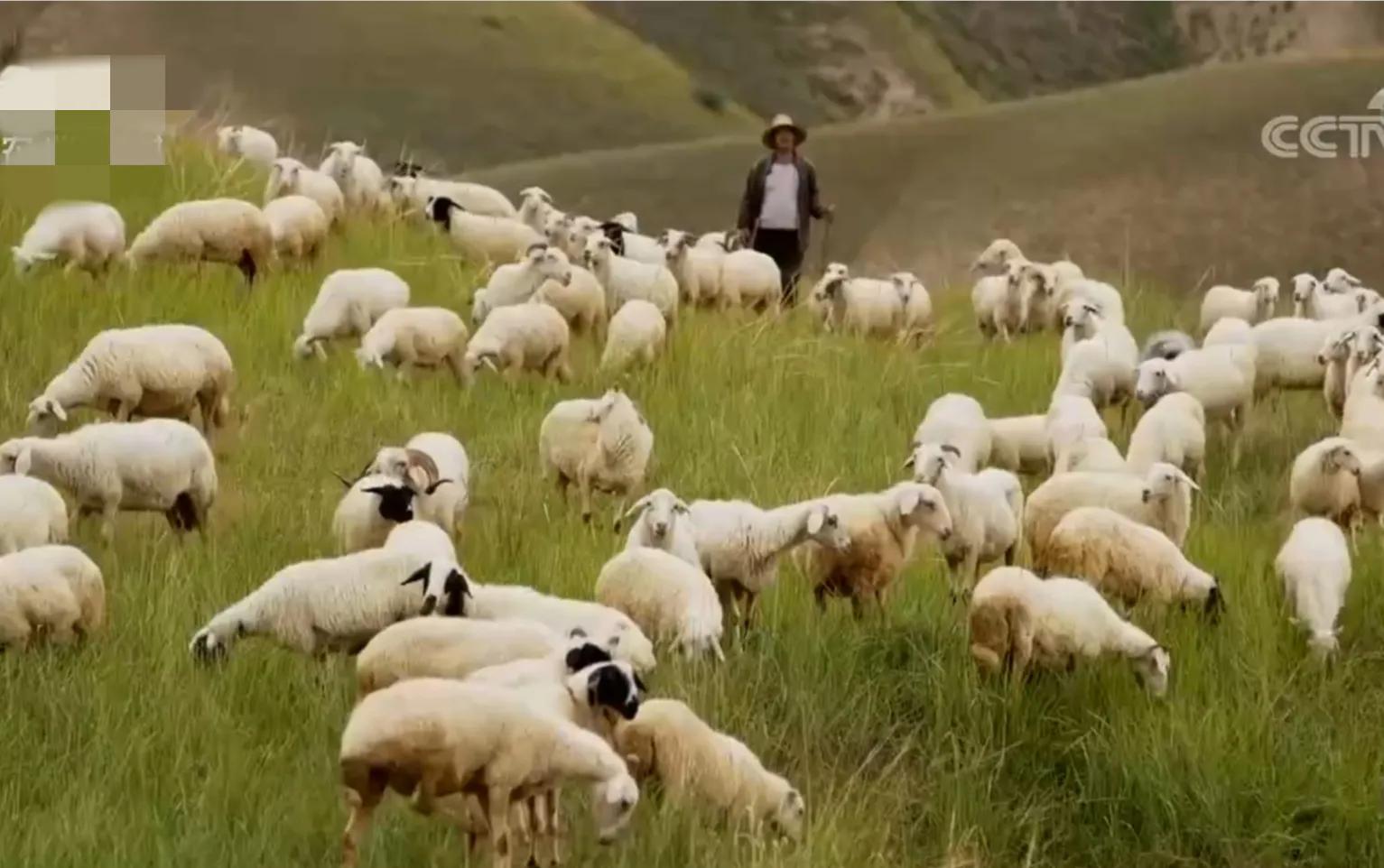 小伙承包80亩土地变成基本农田,农村小伙承包300亩地