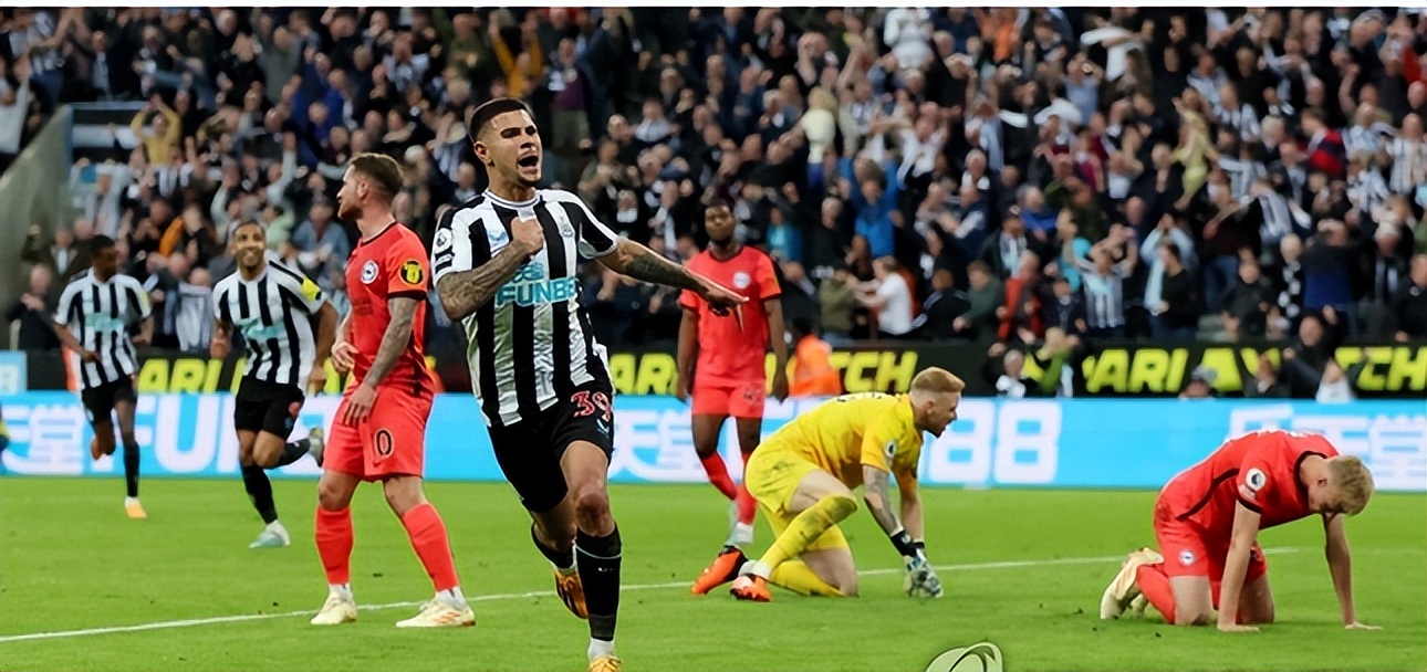 纽卡斯尔时隔21年再回欧冠,纽卡斯尔下一场跟哪个队踢