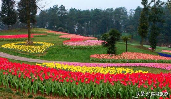 成都有什么好玩的地方推荐一下,成都有什么好玩的地方适合孩子