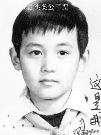 吴镇宇李婉华结局,吴镇宇情史