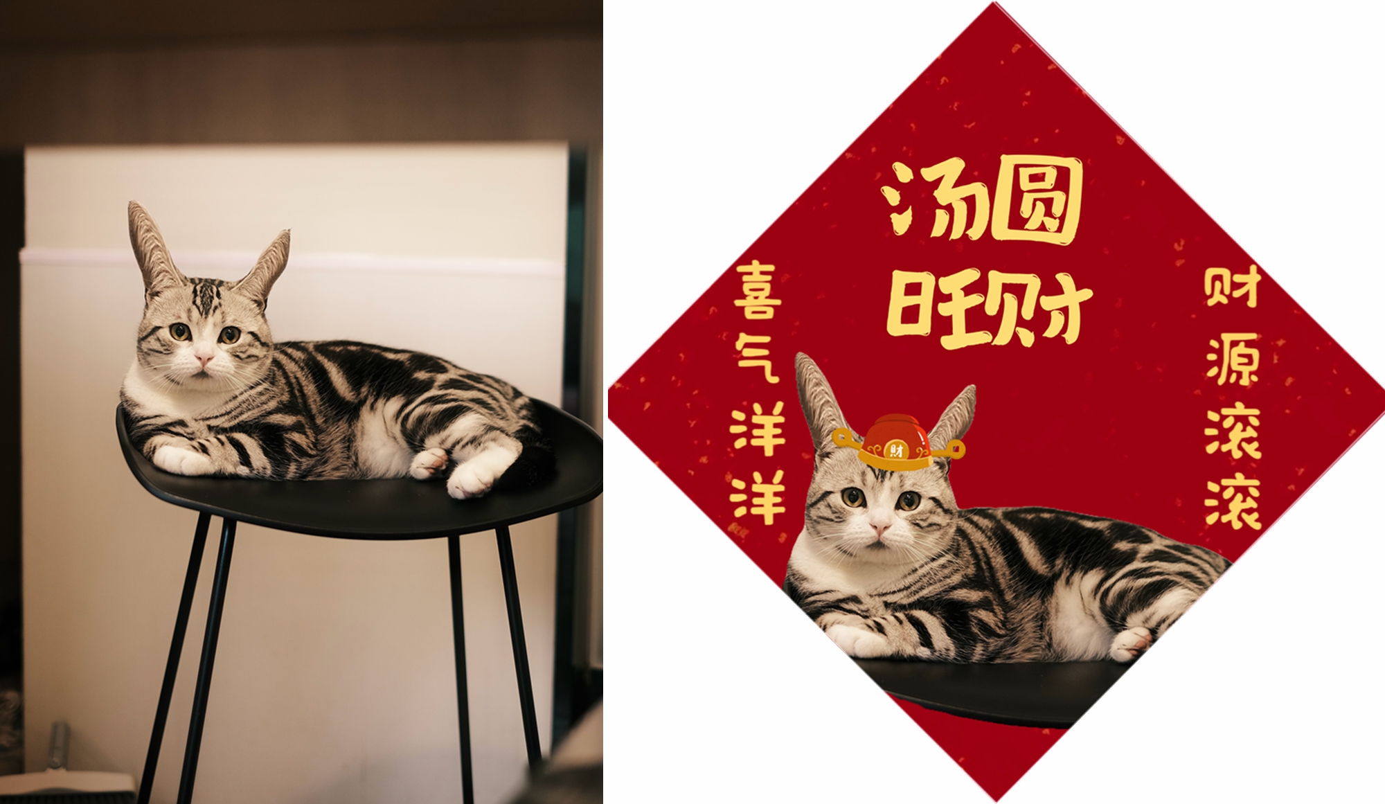 鏉窞濂冲瓙棰嗗吇鐚挭,鏉窞00鍚庡コ鐢熻璁″厰鐚〃鎯呭寘