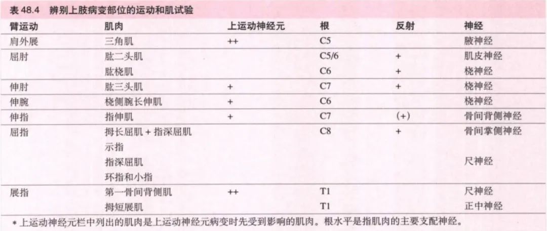 脊神经支配区域解剖图简图,脊神经及其分支的支配范围