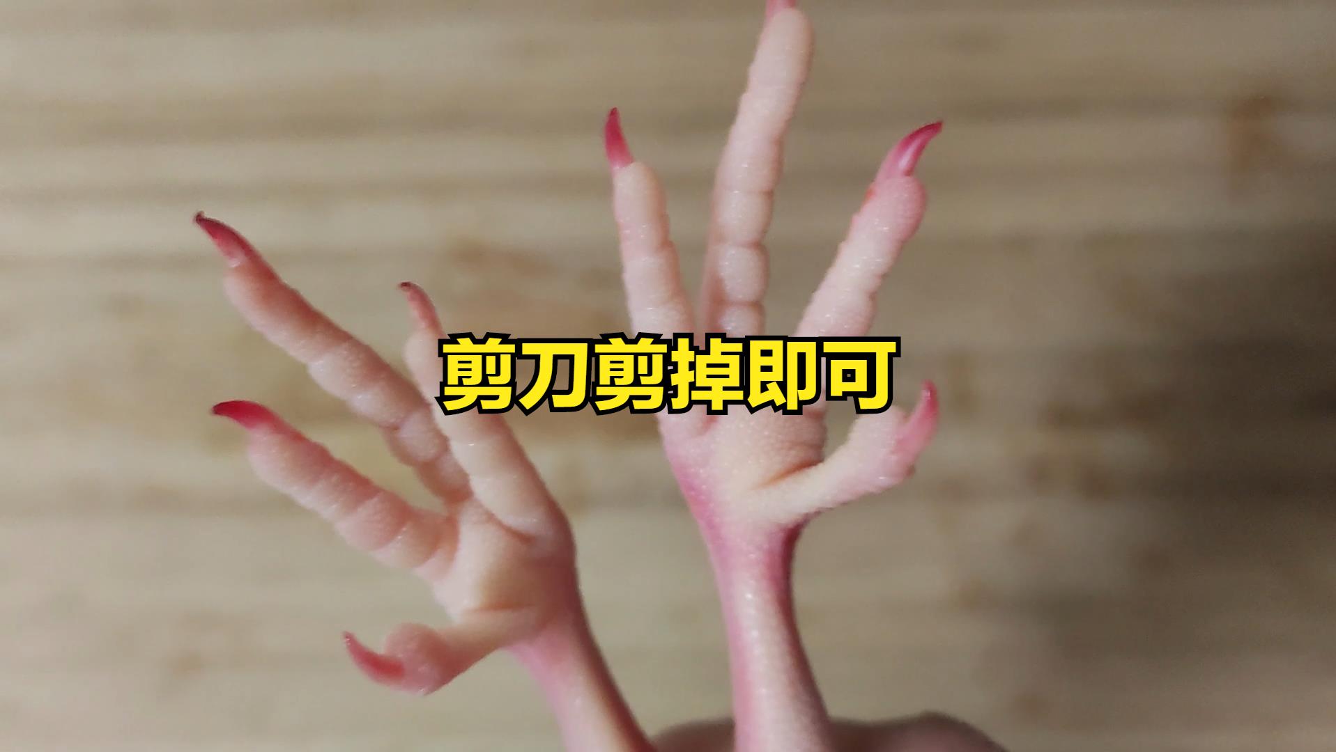 炖鸽子肉要牢记5放5不放,炖鸽子汤切忌焯水