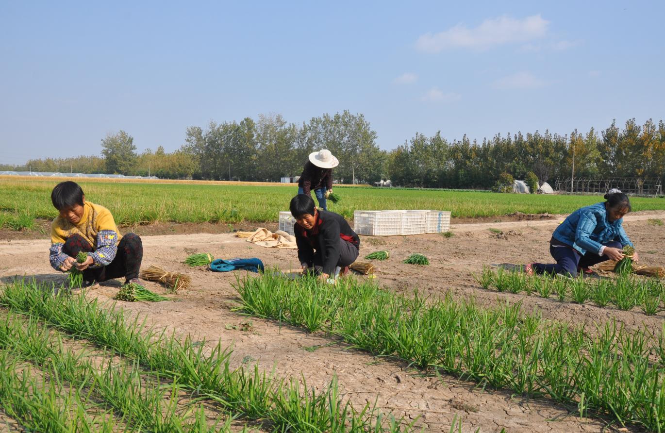 王宽宽谈喜姐炸串,喜姐炸串创始人王宽宽年龄