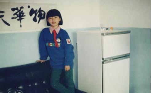 央视柴静后来怎么样了,柴静为什么离开央视