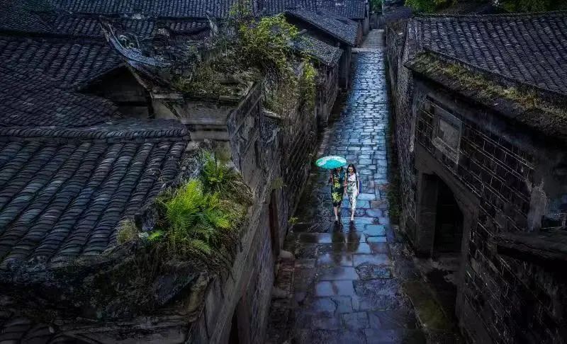 清明节逛李庄古镇,云逛自然博物馆